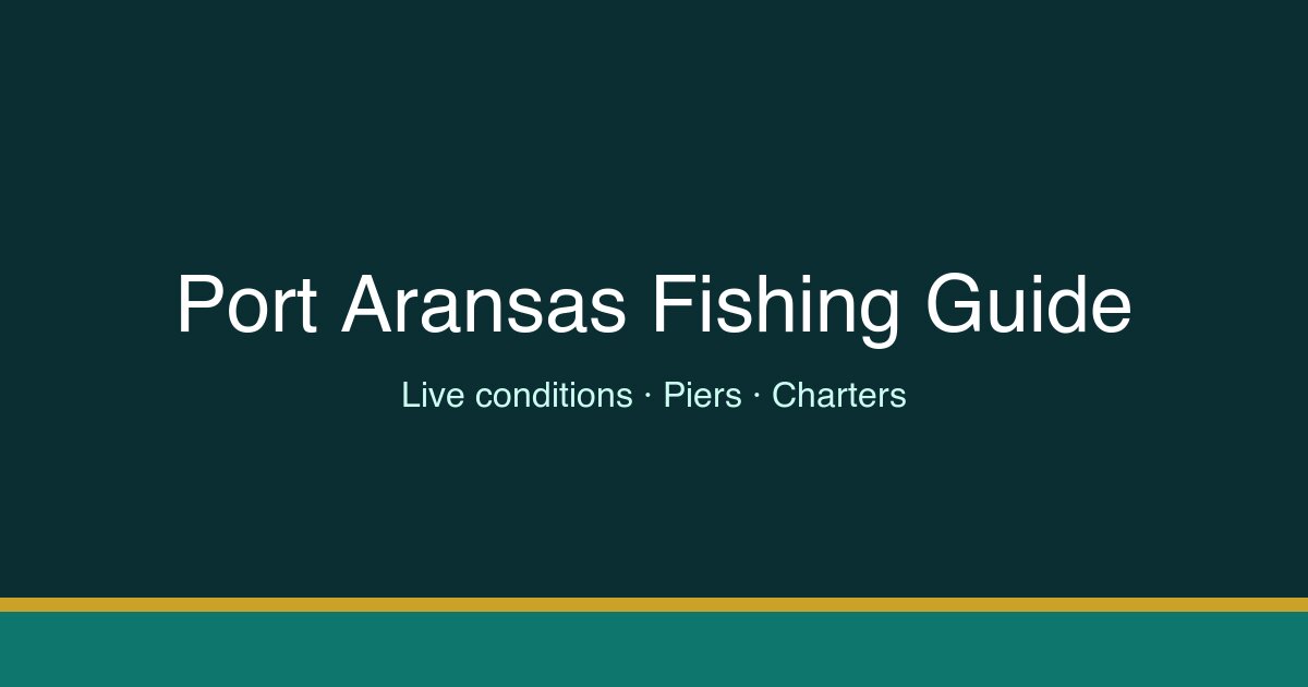 Texas Jetty Fish Deep Sea Fishing in Port Aransas: Trips, Cost, Seasons